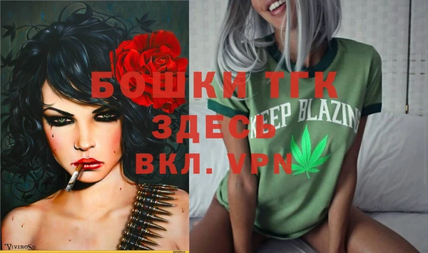 Альфа ПВП Пролетарск