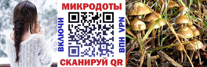 Псилоцибиновые грибы GOLDEN TEACHER  Купить закладки  Пойковский 